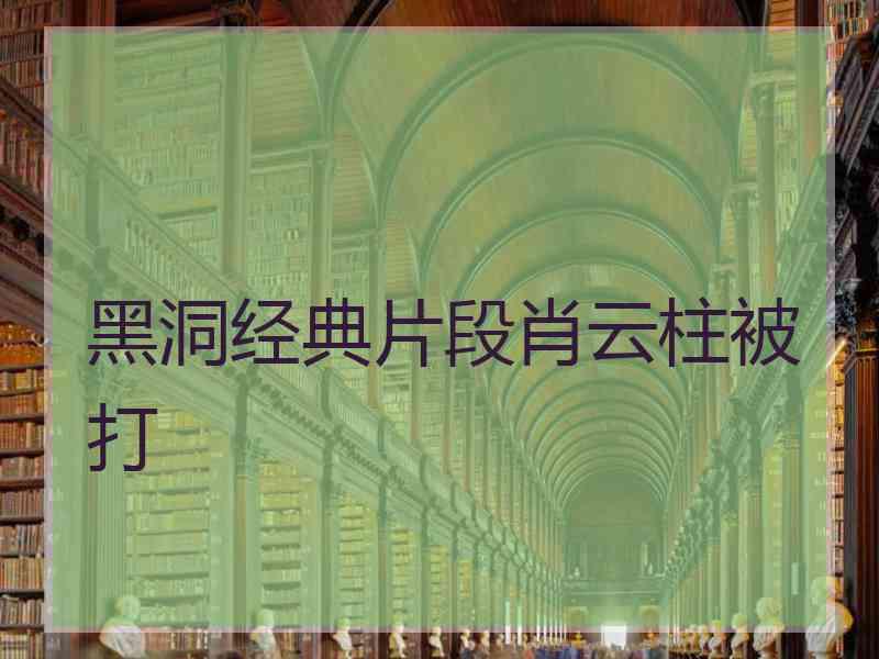 黑洞经典片段肖云柱被打