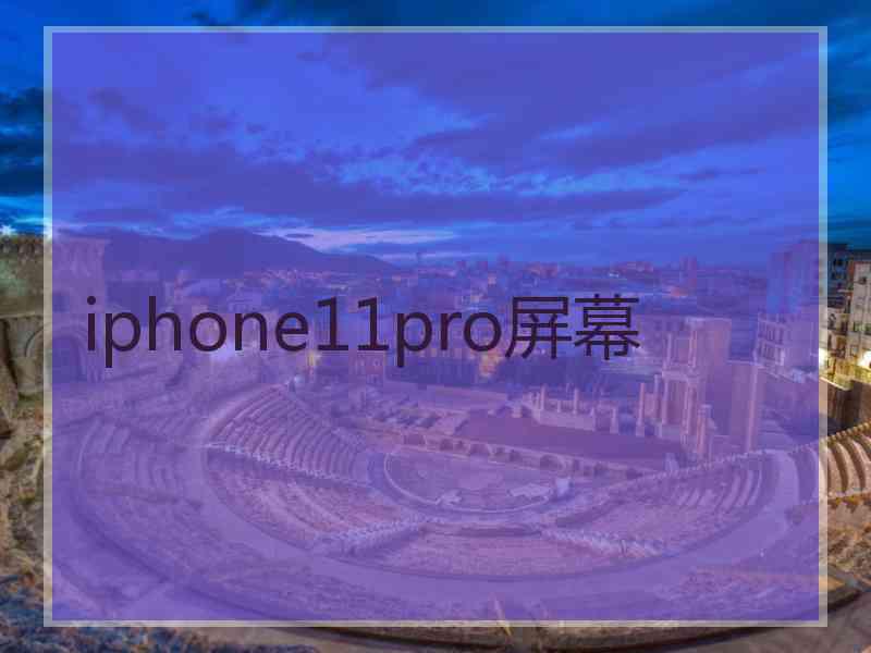 iphone11pro屏幕