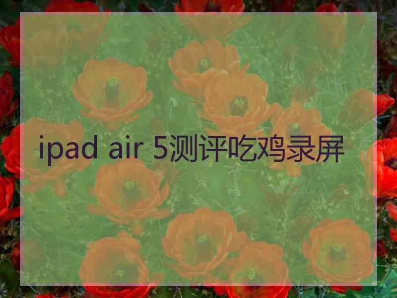 ipad air 5测评吃鸡录屏