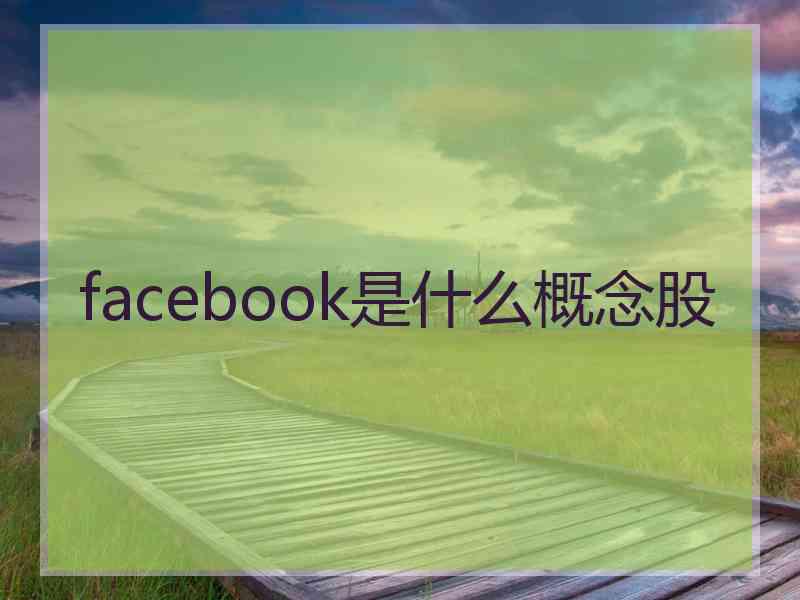 facebook是什么概念股