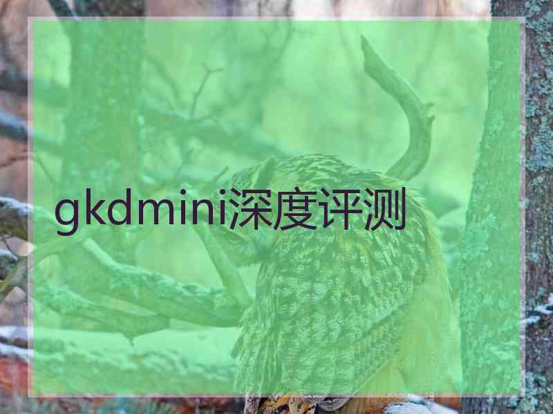 gkdmini深度评测