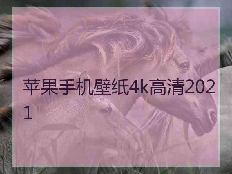 苹果手机壁纸4k高清2021