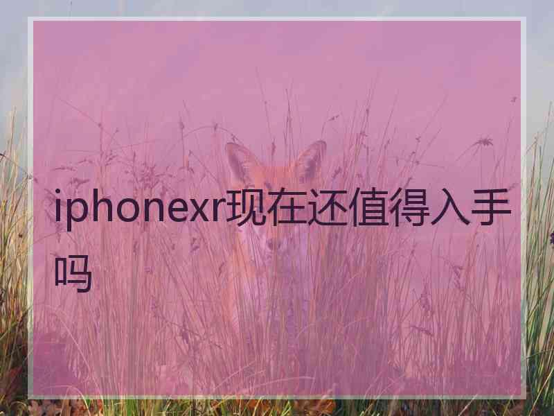 iphonexr现在还值得入手吗