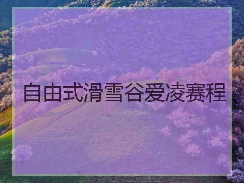 自由式滑雪谷爱凌赛程