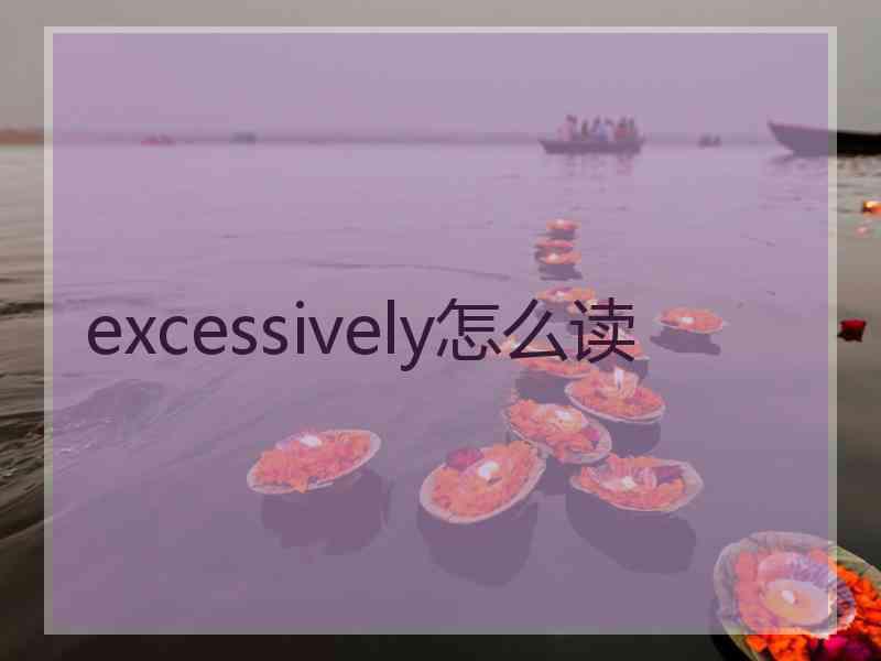 excessively怎么读