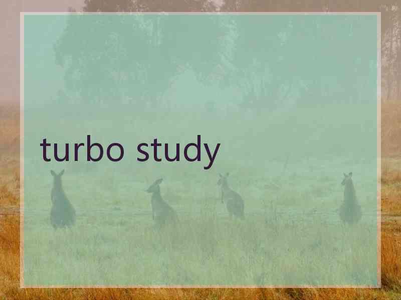 turbo study