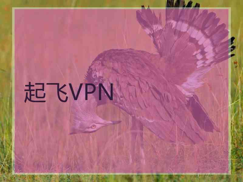 起飞VPN