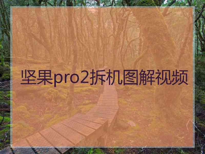 坚果pro2拆机图解视频