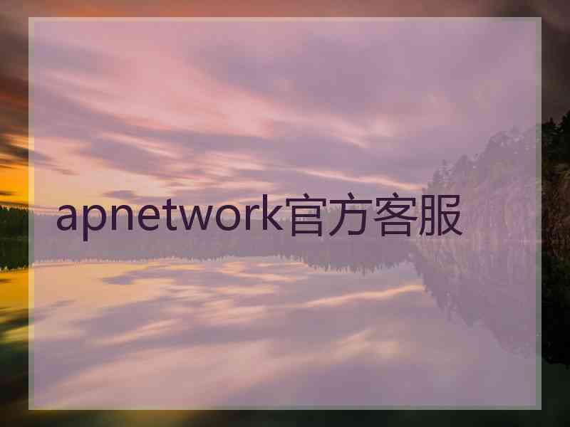 apnetwork官方客服