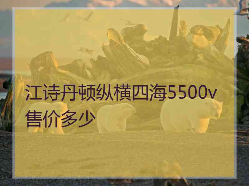 江诗丹顿纵横四海5500v售价多少