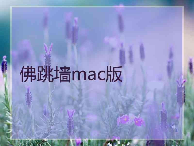 佛跳墙mac版