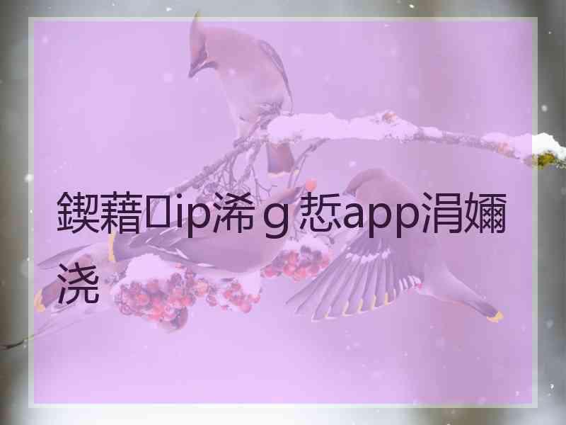 鍥藉ip浠ｇ悊app涓嬭浇