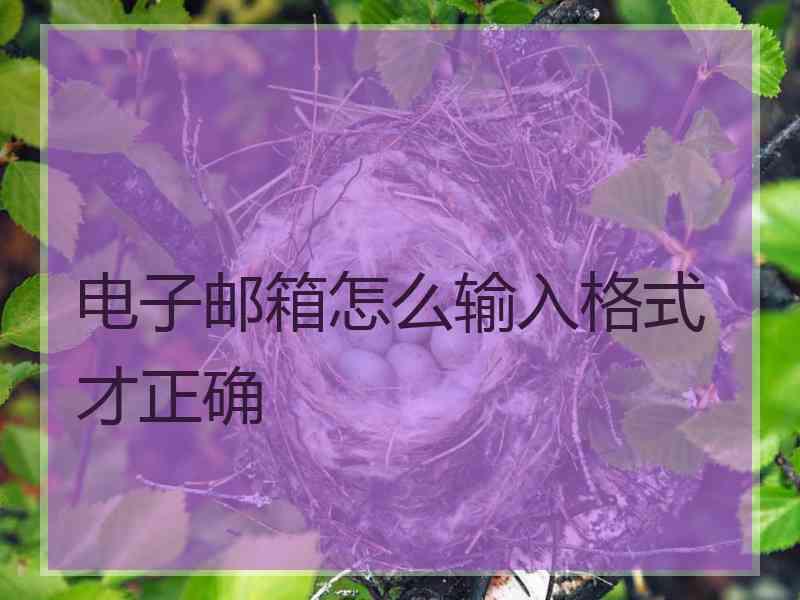 电子邮箱怎么输入格式才正确