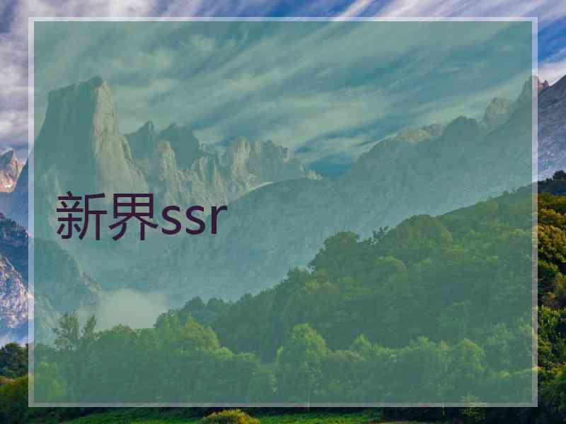 新界ssr