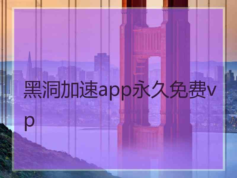 黑洞加速app永久免费vp