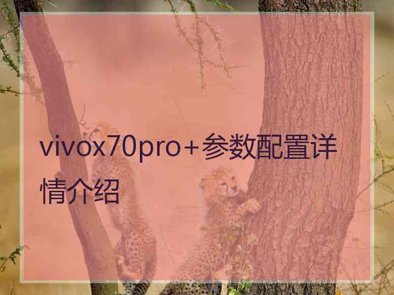 vivox70pro+参数配置详情介绍