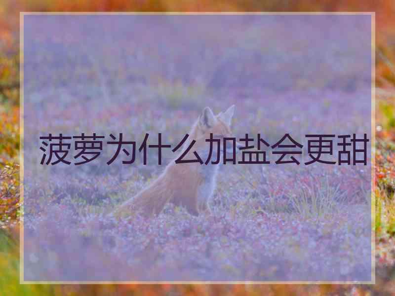 菠萝为什么加盐会更甜