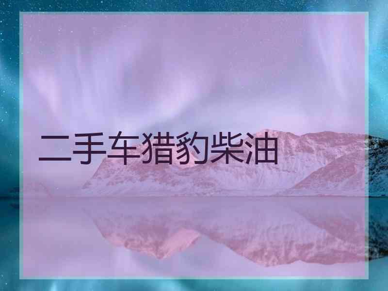 二手车猎豹柴油