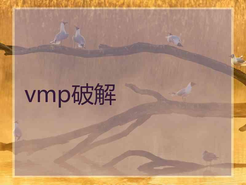 vmp破解