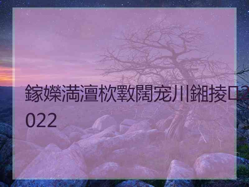 鎵嬫満澶栨斁闊宠川鎺掕2022