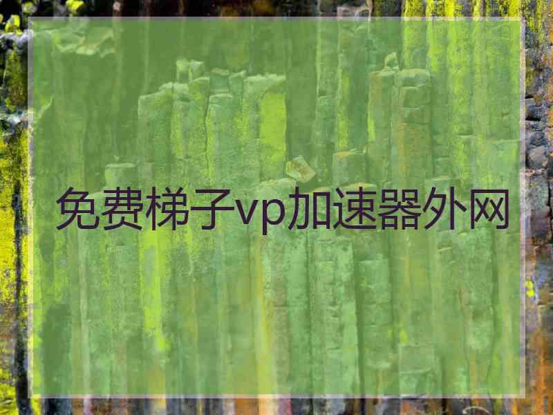 免费梯子vp加速器外网