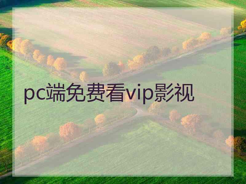 pc端免费看vip影视