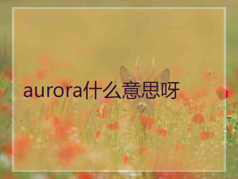 aurora什么意思呀