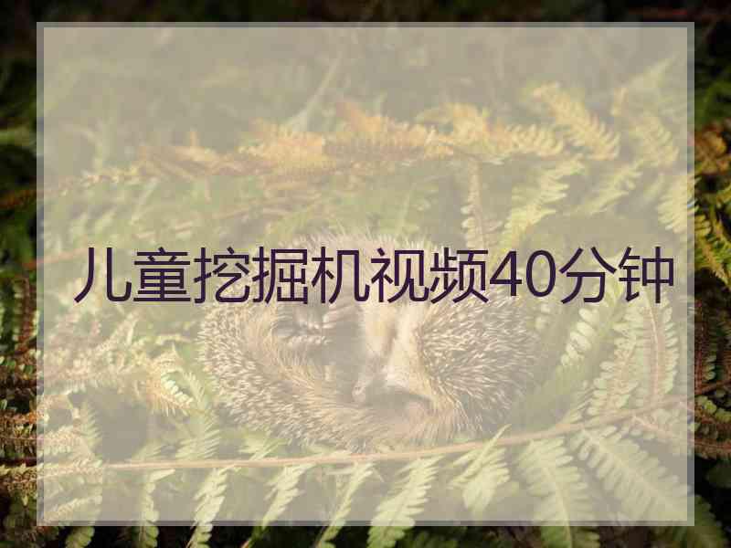 儿童挖掘机视频40分钟