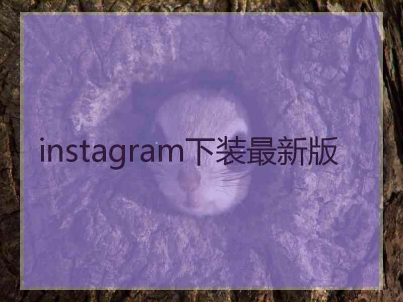 instagram下装最新版