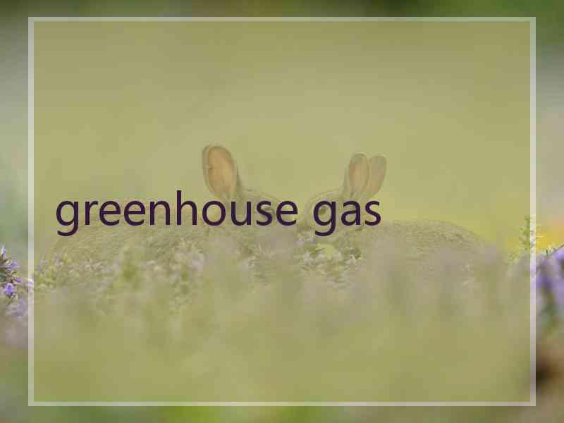 greenhouse gas