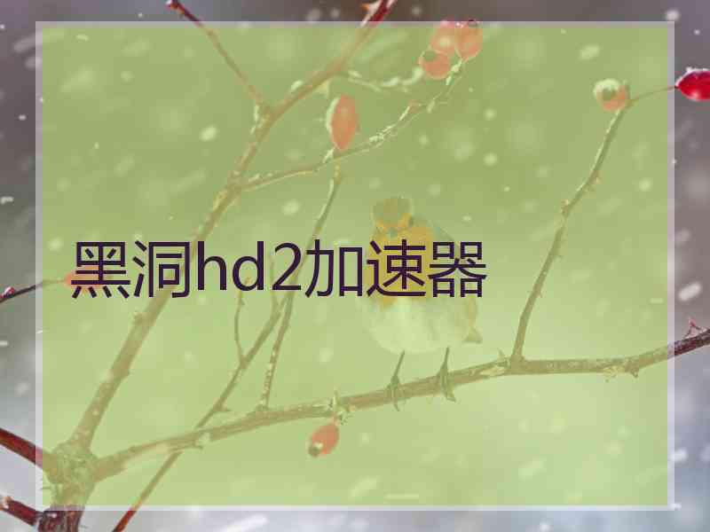 黑洞hd2加速器