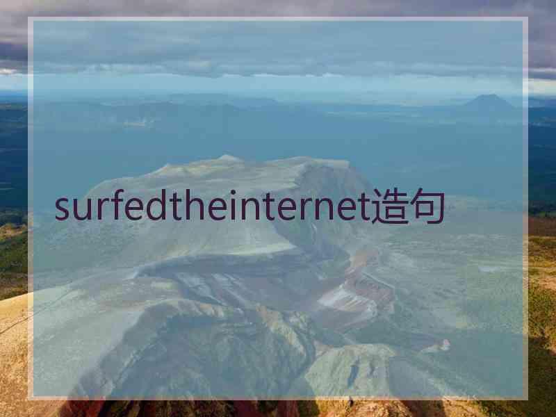 surfedtheinternet造句