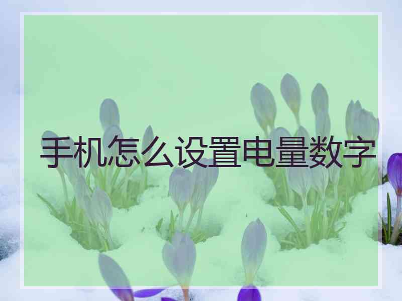 手机怎么设置电量数字