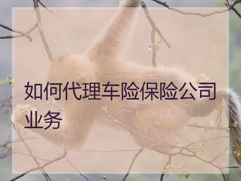 如何代理车险保险公司业务