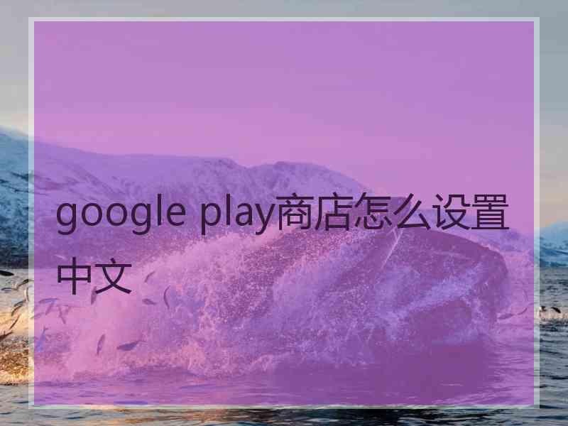 google play商店怎么设置中文