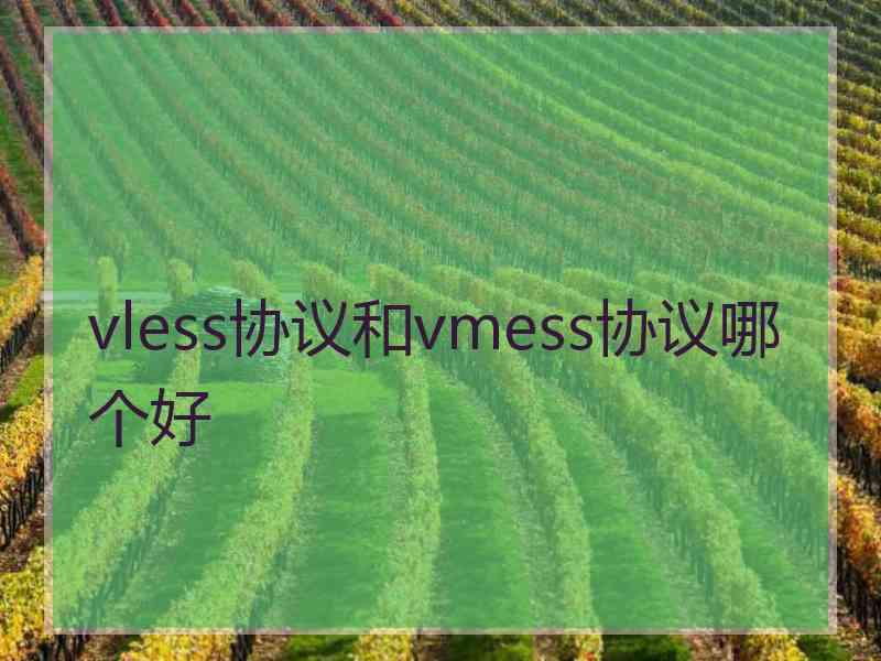 vless协议和vmess协议哪个好