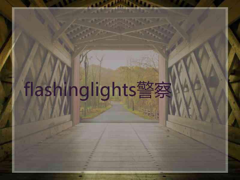 flashinglights警察