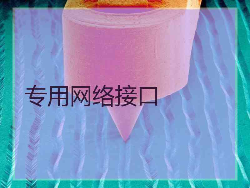 专用网络接口