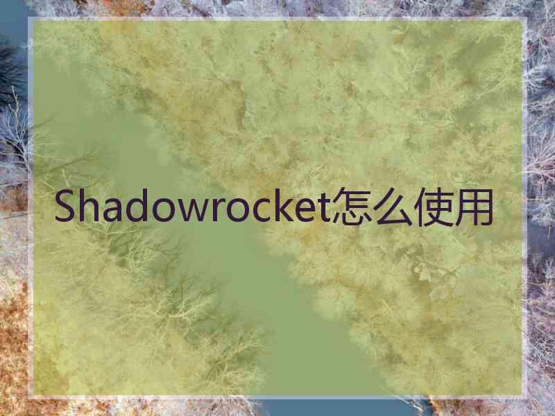 Shadowrocket怎么使用