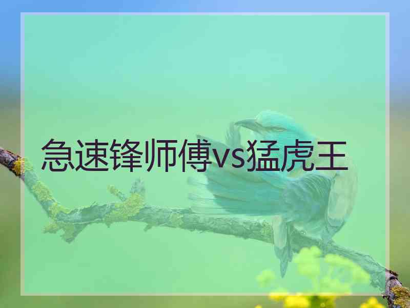 急速锋师傅vs猛虎王