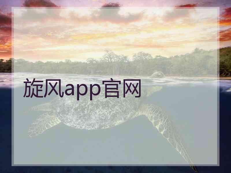 旋风app官网