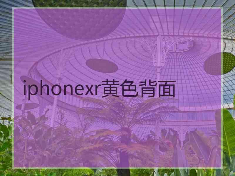 iphonexr黄色背面