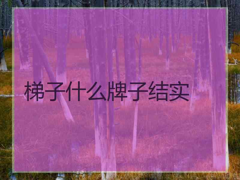 梯子什么牌子结实