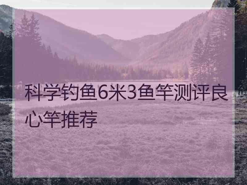 科学钓鱼6米3鱼竿测评良心竿推荐