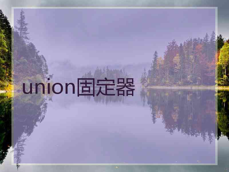 union固定器