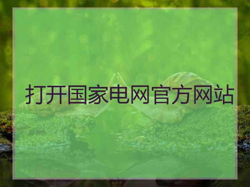 打开国家电网官方网站