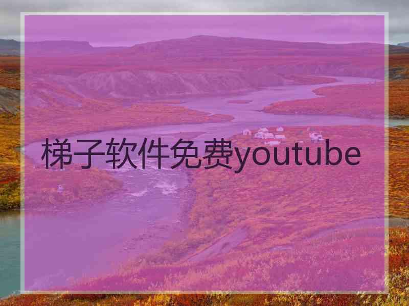 梯子软件免费youtube