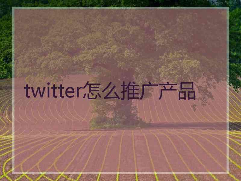 twitter怎么推广产品