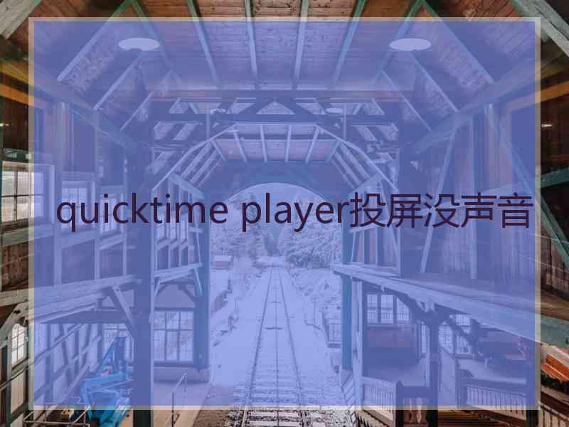 quicktime player投屏没声音