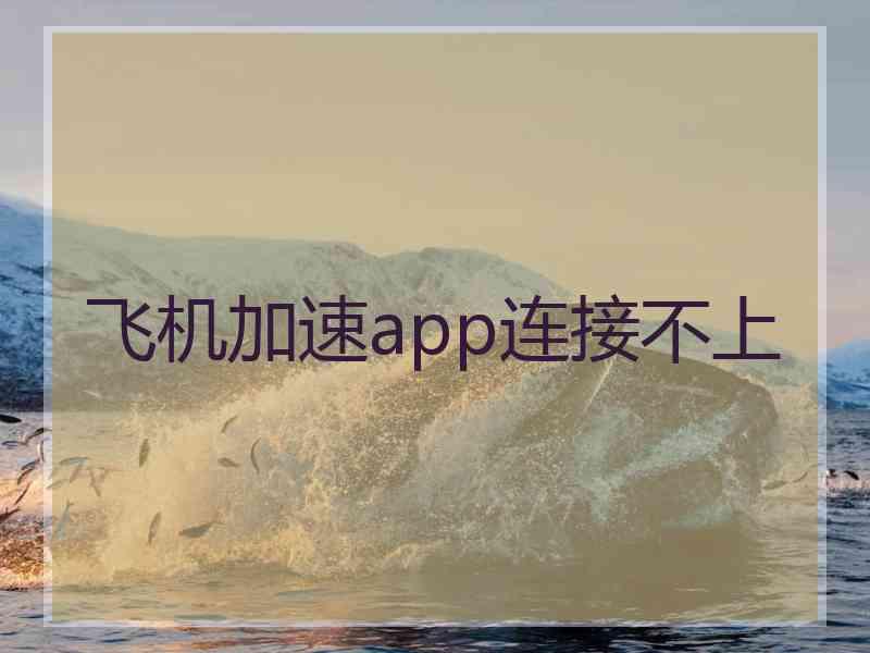 飞机加速app连接不上